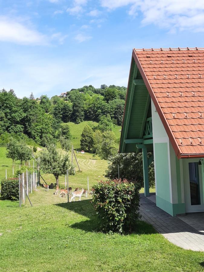 Holiday Home Neokrnjena Narava Sevnica Exterior photo