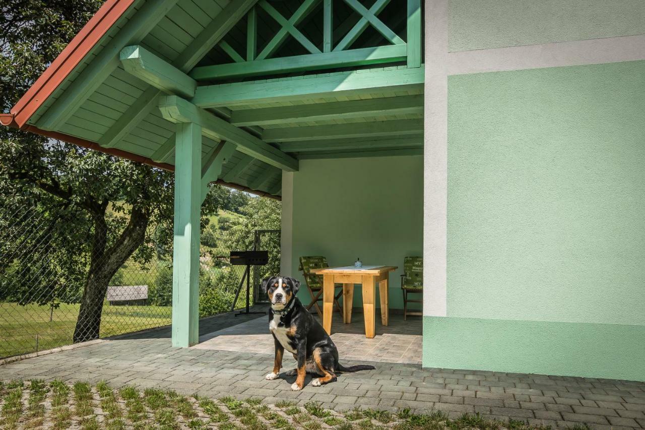 Holiday Home Neokrnjena Narava Sevnica Exterior photo
