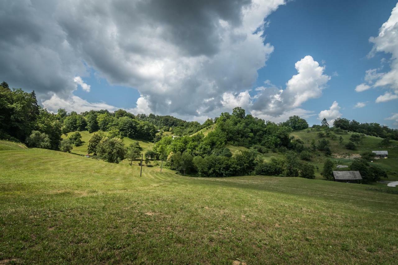 Holiday Home Neokrnjena Narava Sevnica Exterior photo