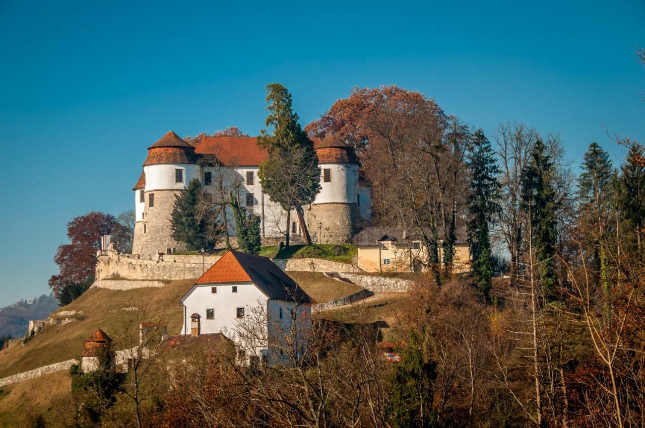 Holiday Home Neokrnjena Narava Sevnica Exterior photo