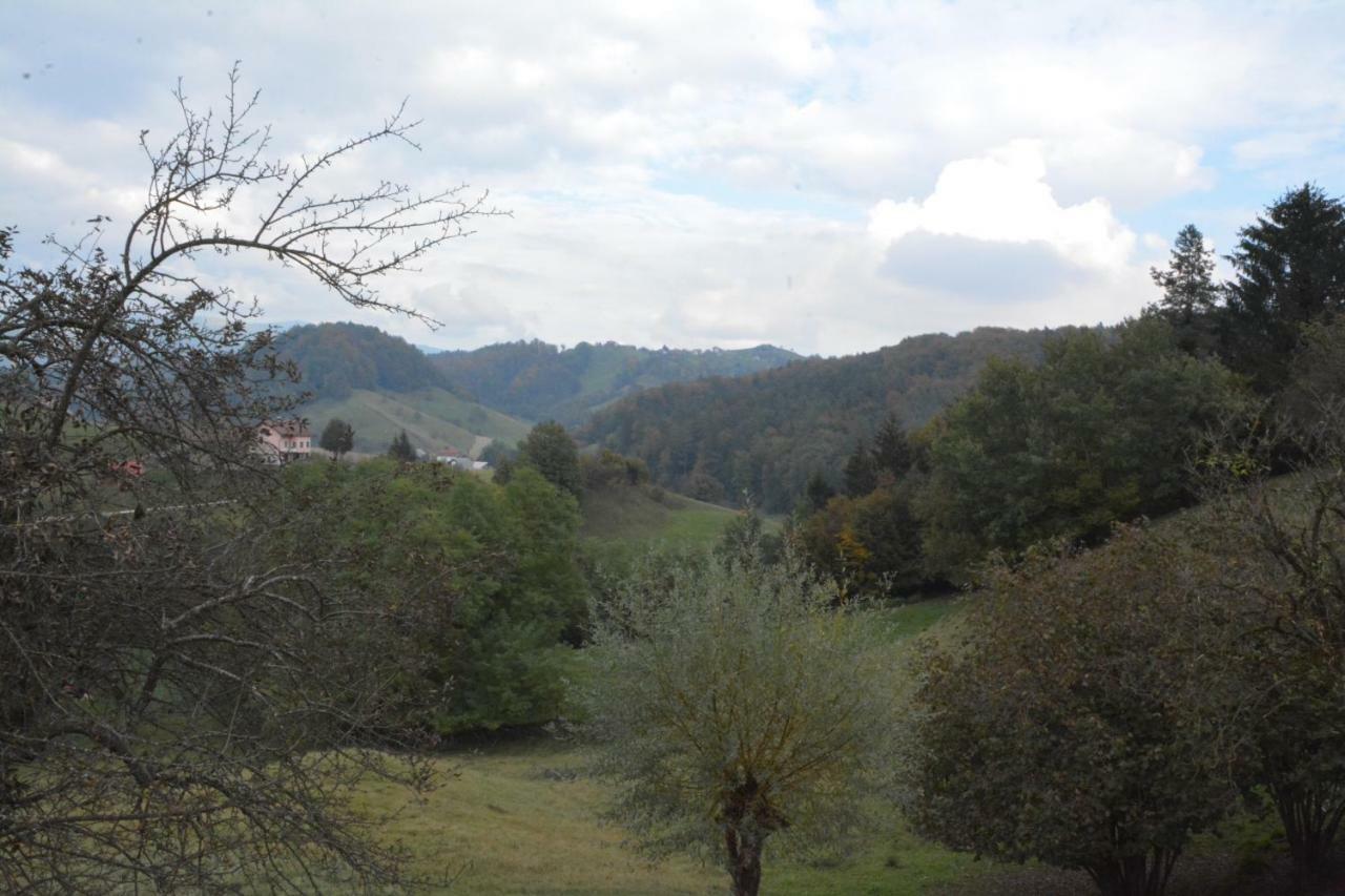 Holiday Home Neokrnjena Narava Sevnica Exterior photo