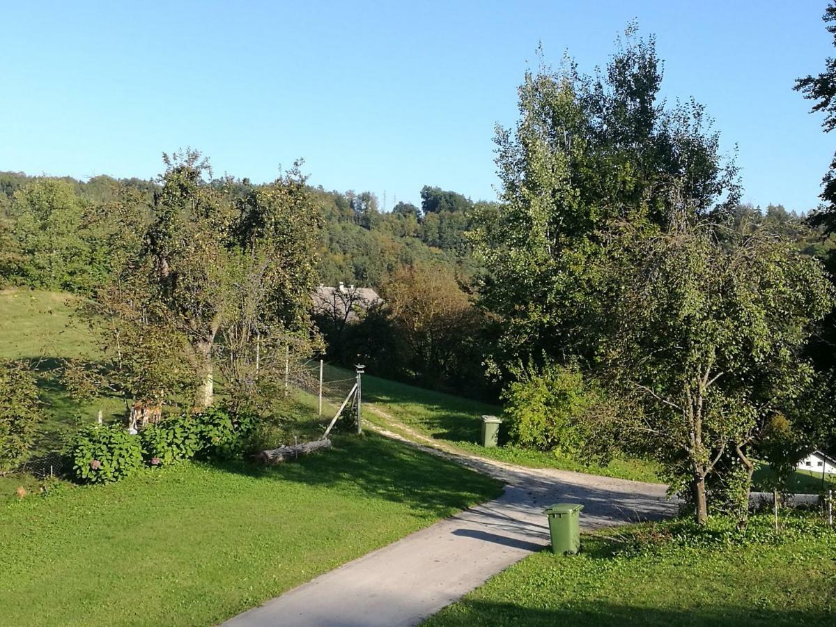Holiday Home Neokrnjena Narava Sevnica Exterior photo